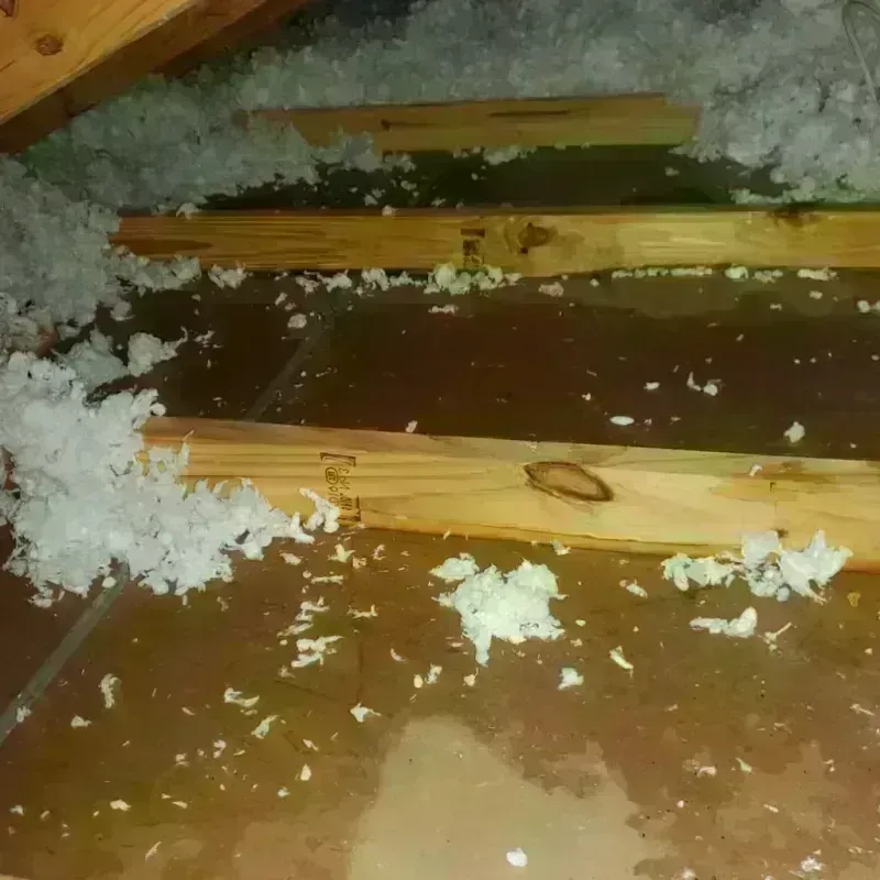 Attic Water Damage in Williamsburg, VA